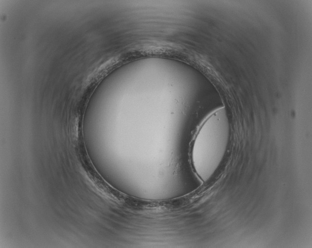 X0000067850454200604130923