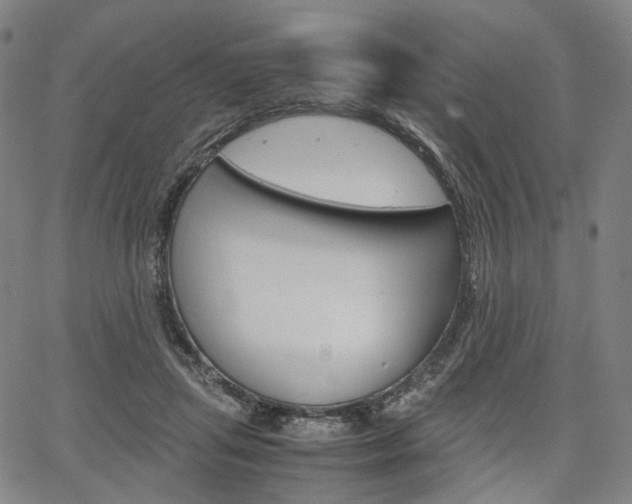 X0000067850455200604130923