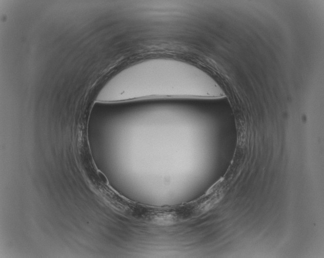 X0000067850456200604130923