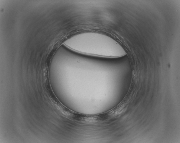 X0000067850462200604130924