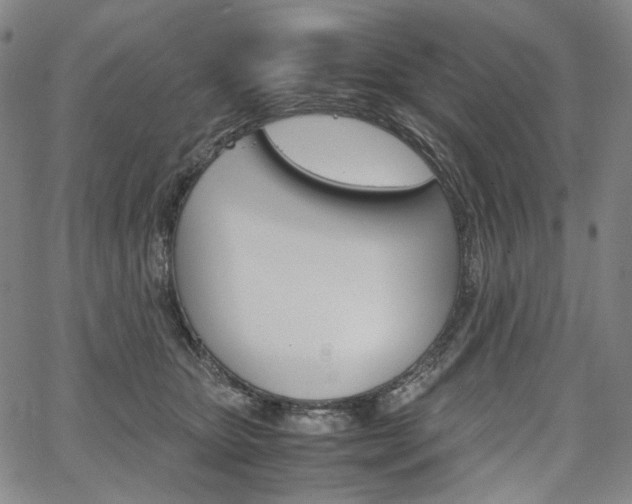 X0000067850467200604130924
