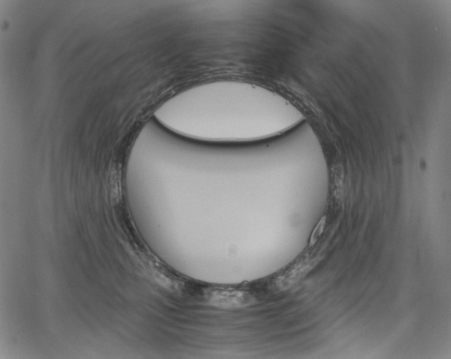 X0000067850471200604130924