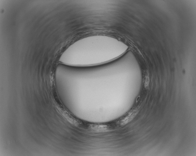 X0000067850476200604130924