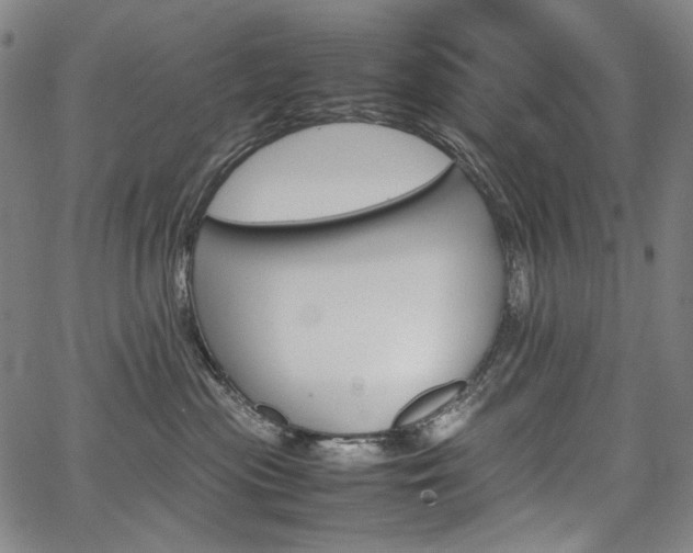 X0000067850477200604130924