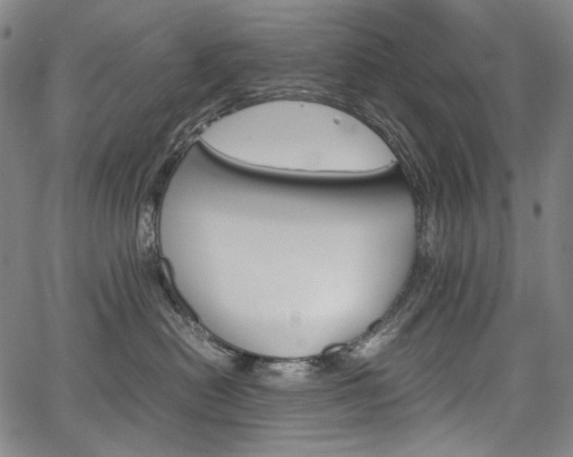 X0000067850478200604130924