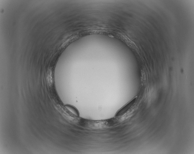 X0000067850479200604130924