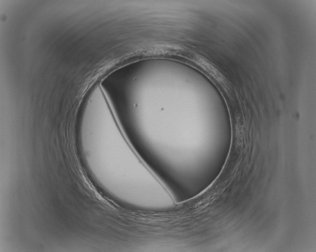 X0000067850485200604130923