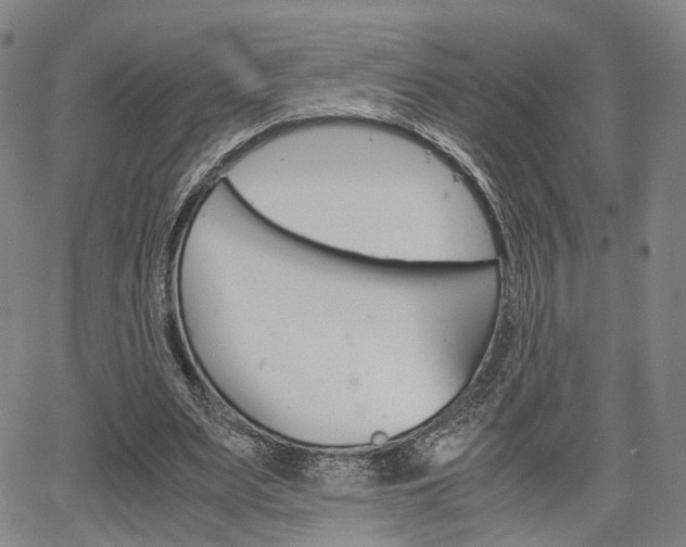 X0000067850487200604130923