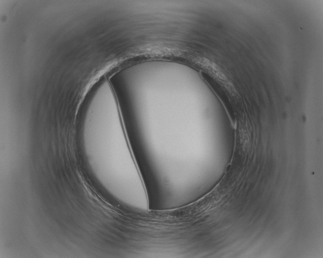 X0000067850488200604130923