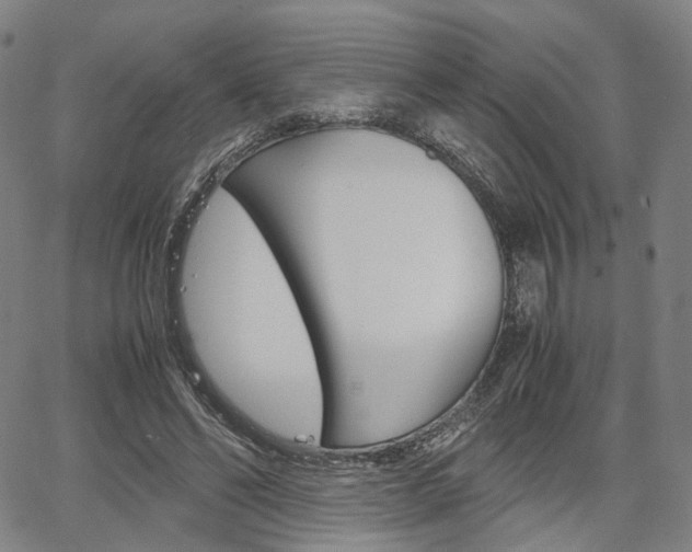 X0000067850494200604130923