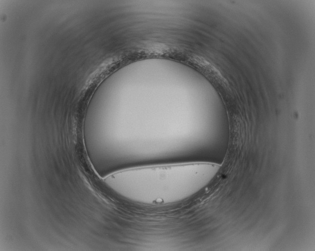 X0000067850496200604130923