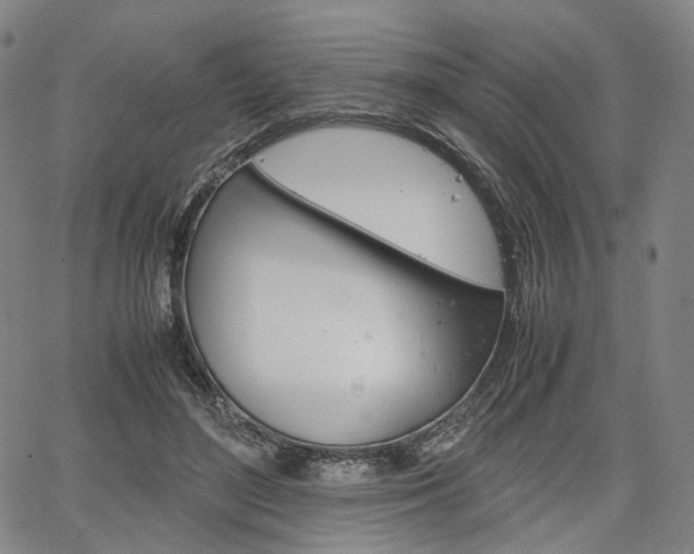 X0000067850500200604130923