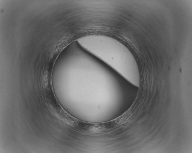 X0000067850504200604130923