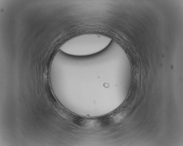 X0000067850507200604130923