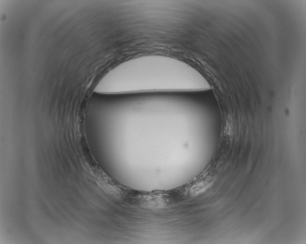 X0000067850524200604130922