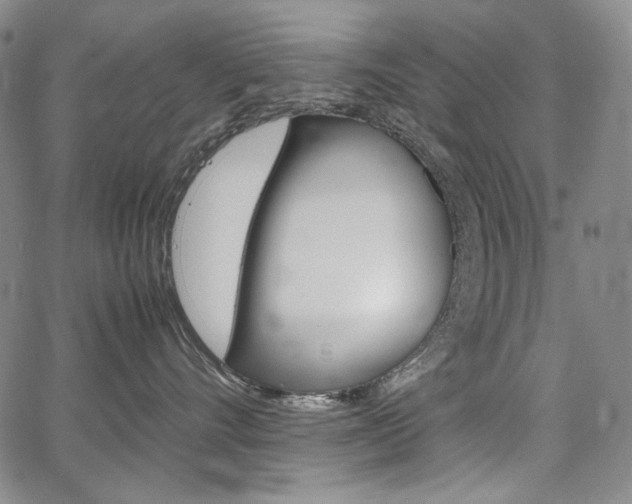 X0000067850528200604130922