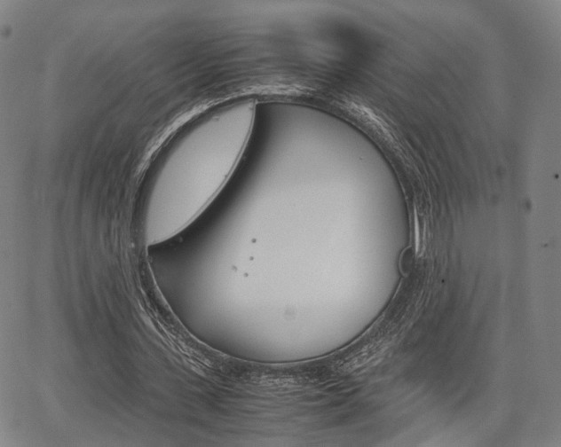X0000067850531200604130922