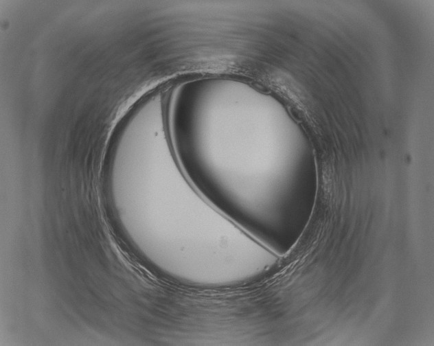 X0000067850532200604130922