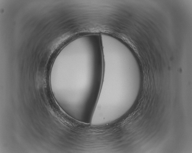 X0000067850536200604130922