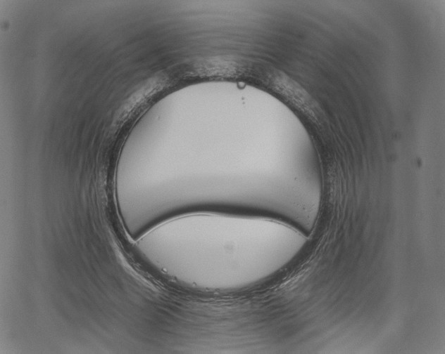 X0000067850538200604130922