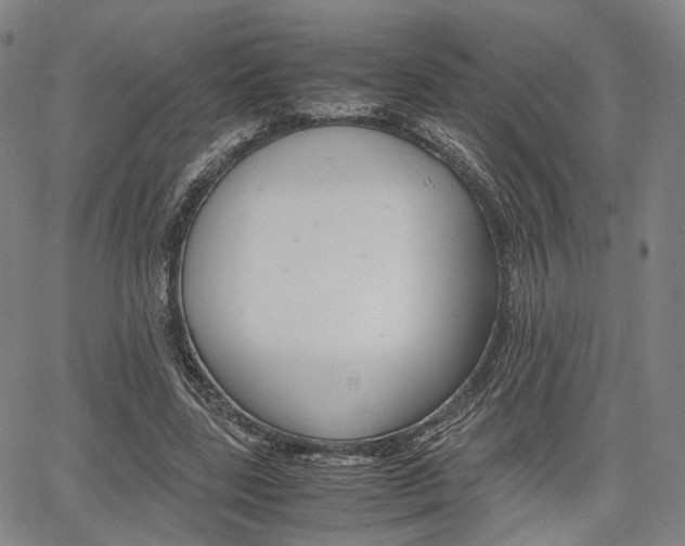 X0000067850539200604130922