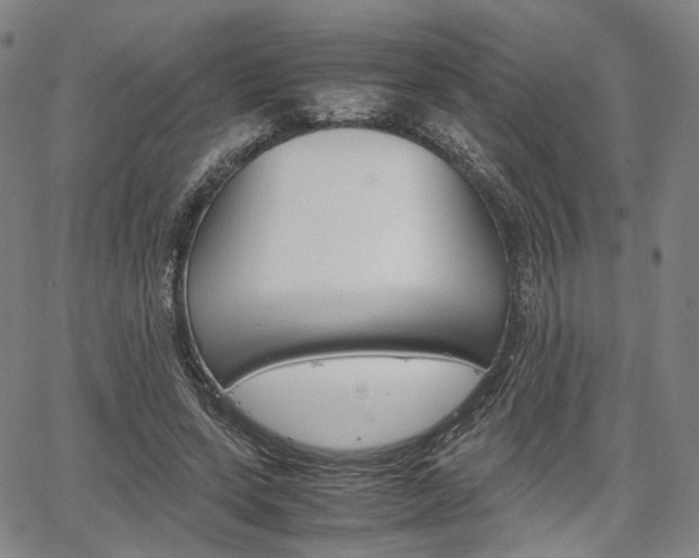 X0000067850543200604130922
