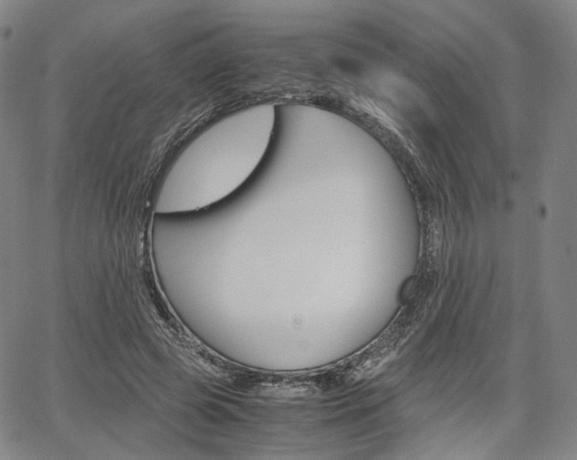 X0000067850545200604130922