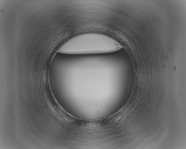 X0000067850546200604130922