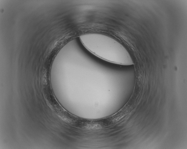 X0000067850547200604130922