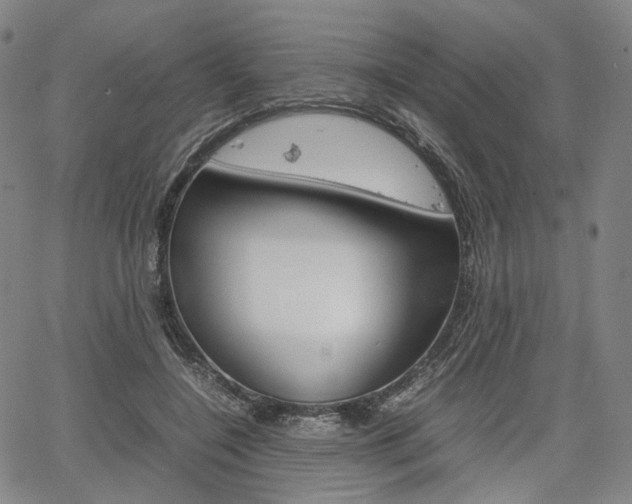 X0000067850548200604130922