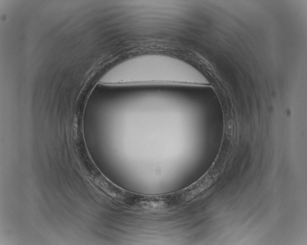 X0000067850552200604130922