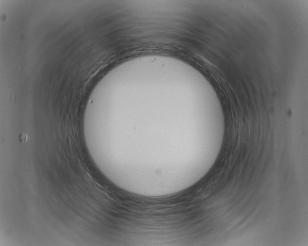 X0000067850556200604130922
