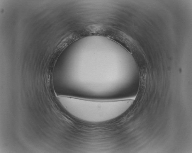 X0000067850558200604130922