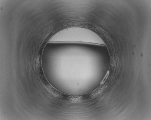 X0000067850560200604130922