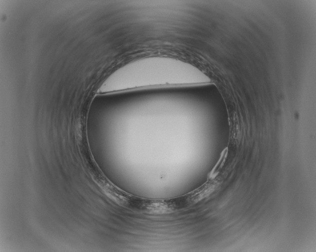 X0000067850562200604130922