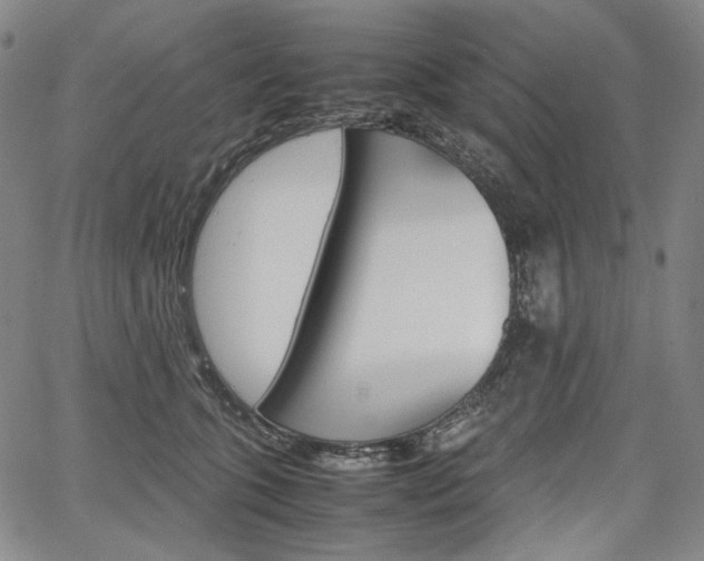 X0000067850563200604130922