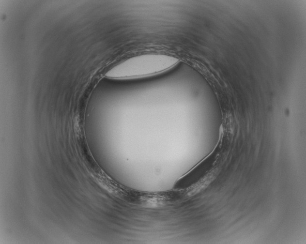 X0000067850564200604130922