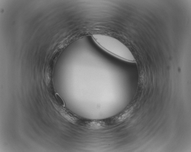 X0000067850566200604130922