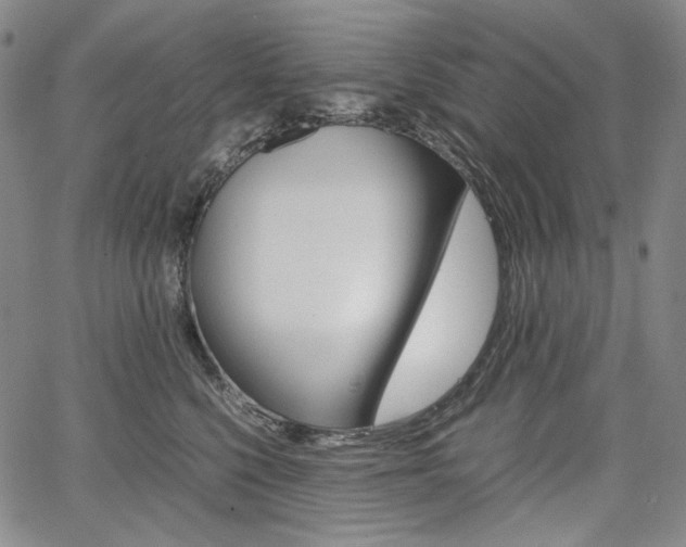 X0000067850568200604130922