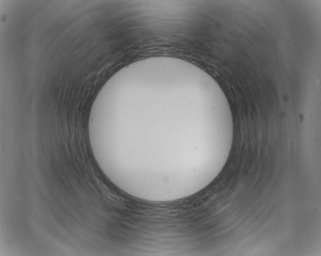 X0000067850570200604130922