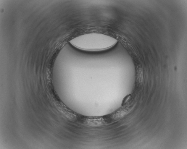 X0000067850571200604130922