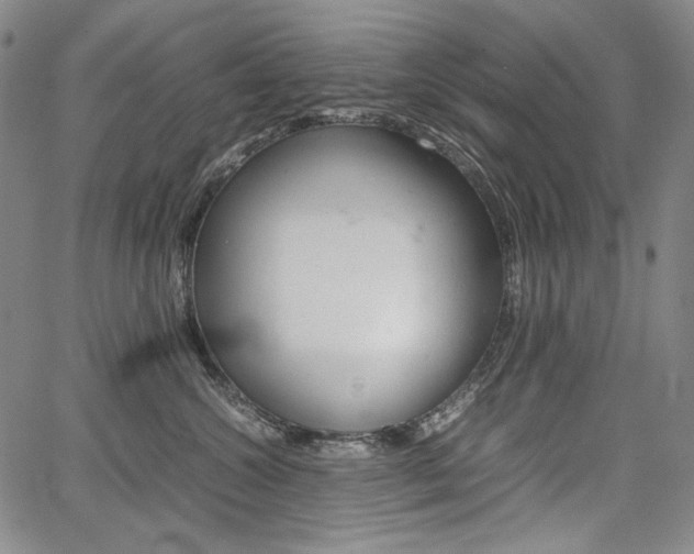 X0000067850572200604130922