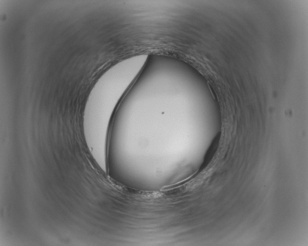 X0000067850576200604130922