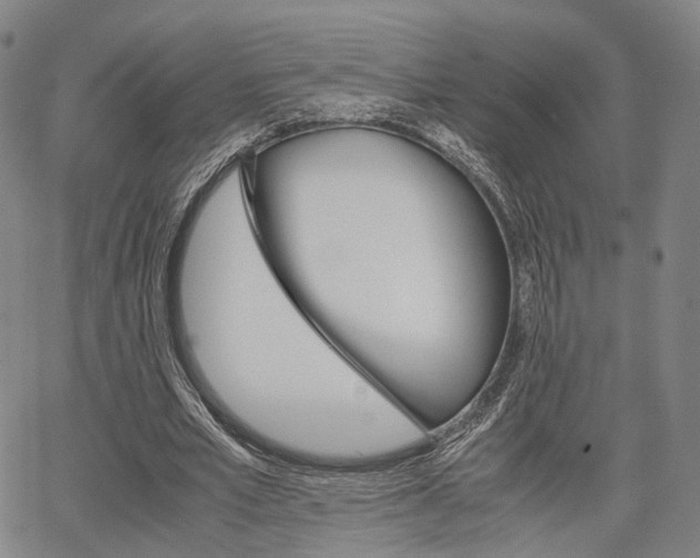 X0000067850581200604130921