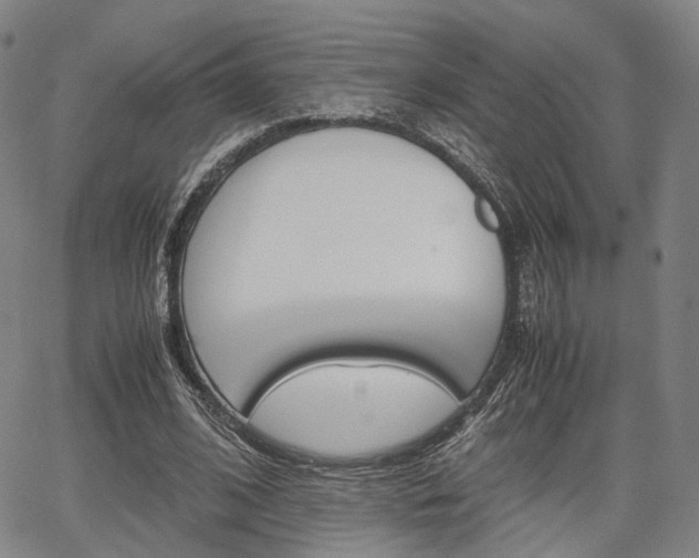 X0000067850584200604130921