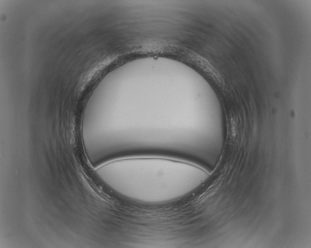 X0000067850588200604130921