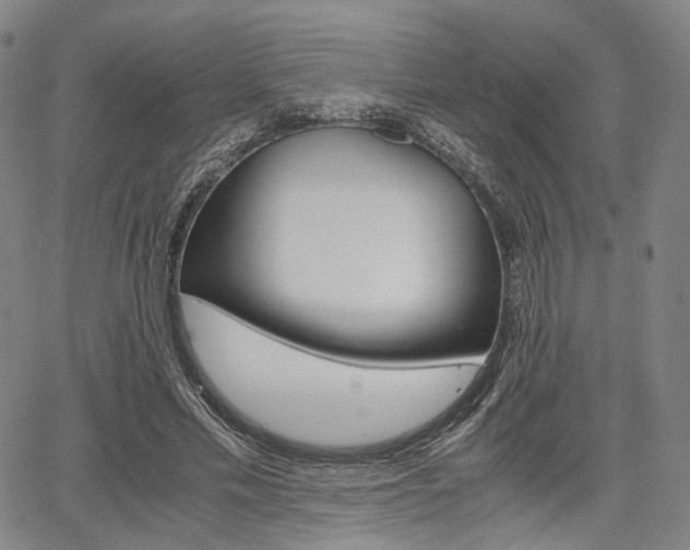 X0000067850589200604130921