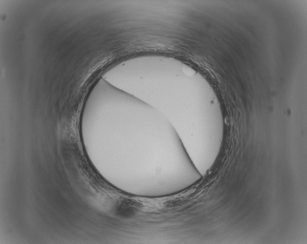 X0000067850591200604130921