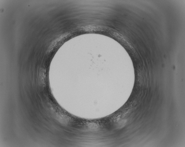 X0000067850592200604130921