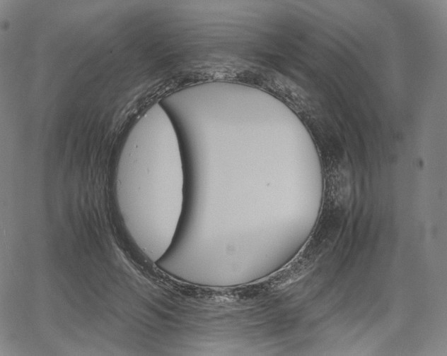 X0000067850594200604130921